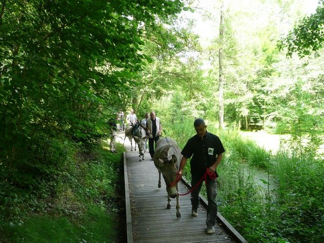 Le Parc 19 juillet 2012 (20).jpg